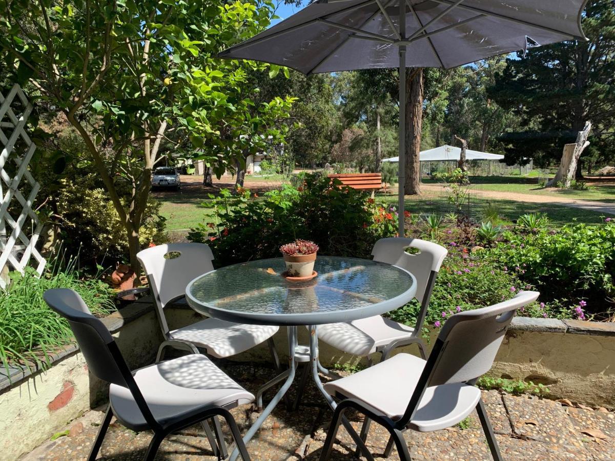 Swan Cove Beachfront Raymond Island Ngoại thất bức ảnh